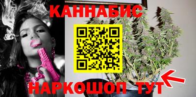 шишки Коммунар