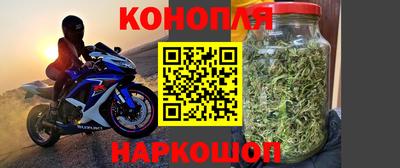 шишки Коммунар