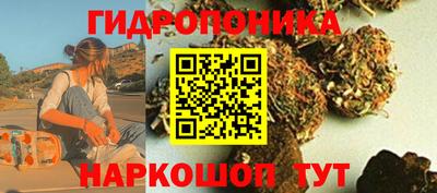 шишки Коммунар