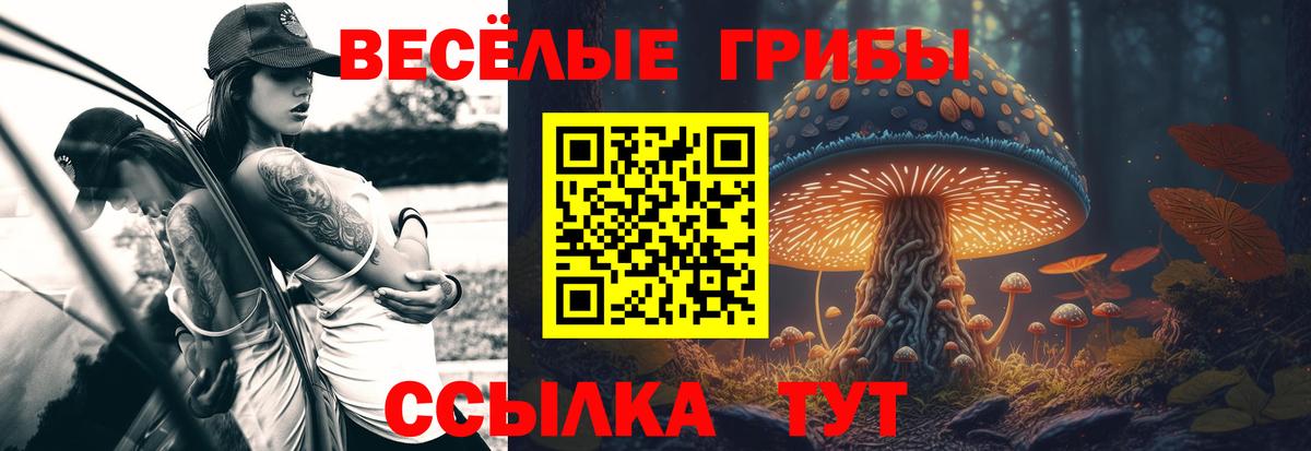 Псилоцибиновые грибы Psilocybine cubensis Коркино